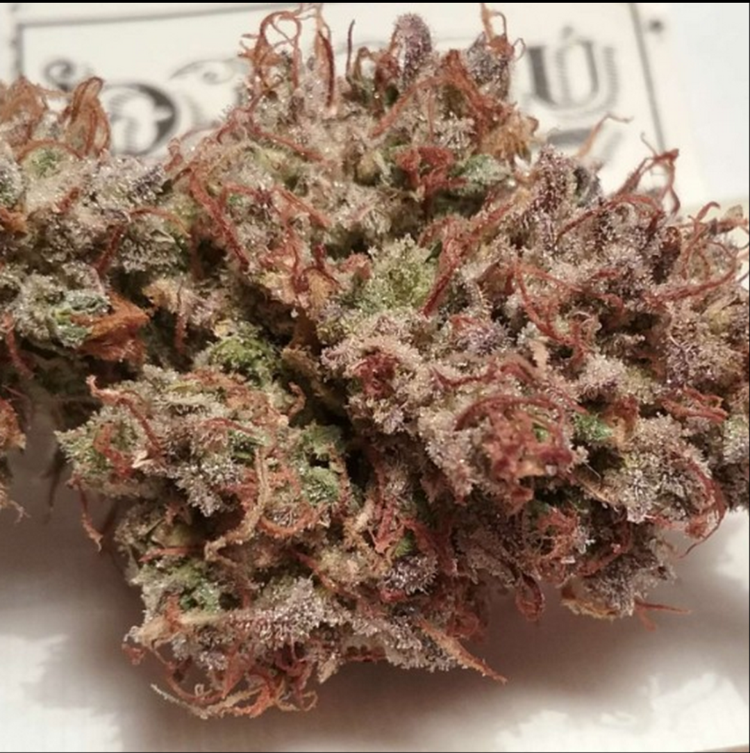 Rinse's Reserve | Malachite | Auto Flower Cannabis Seeds Female
