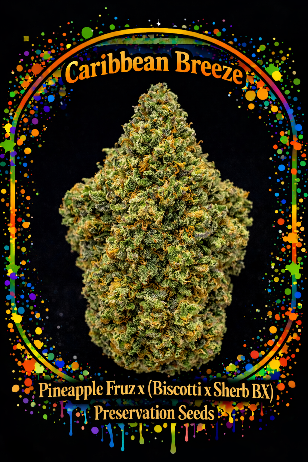 Preservation Seeds | Caribbean Breeze | Photoperiod Cannabis Seeds Female