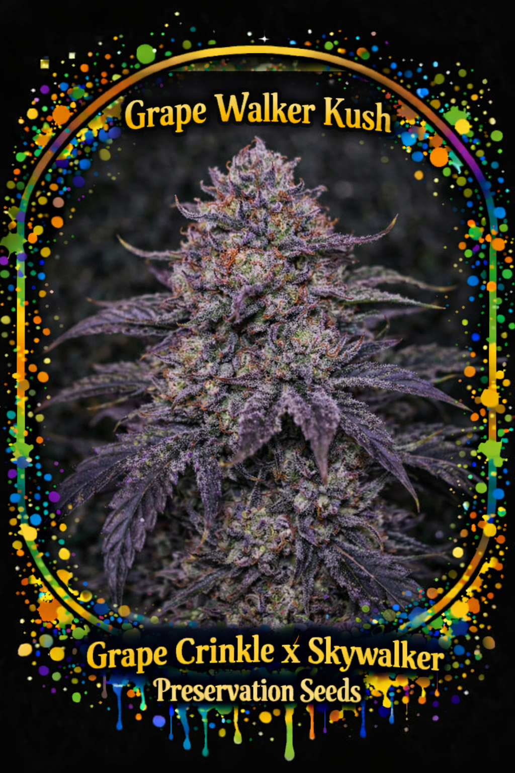 Preservation Seeds | Grape Walker Kush | Auto Flower Cannabis Seeds Female