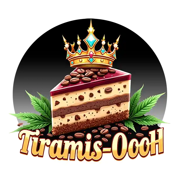 A.F.A Genetics | Tiaramis-oooh | Auto Flower Cannabis Seeds Female