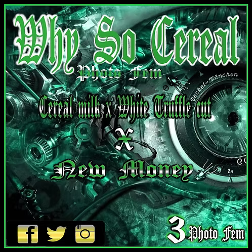 Aeque Genetics | why so cereal | Photoperiod Cannabis Seeds Female