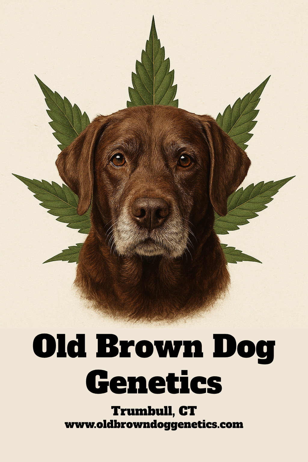 Old Brown Dog Genetics