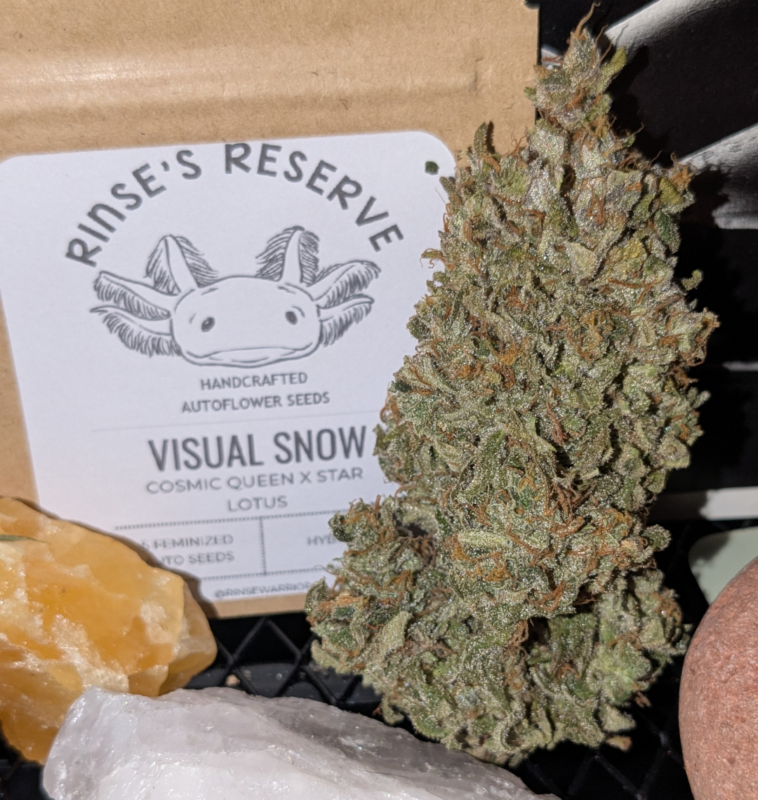 Rinse's Reserve | Visual Snow |  Auto Flower Cannabis Seeds Female