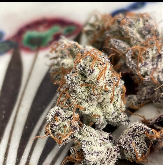 Rinse's Reserve | Chemtrail Queen | Auto Flower Cannabis Seeds Reg