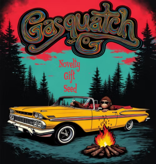 Novelty Gift Seeds | Gasquatch OG | Auto Flower Cannabis Seeds Female