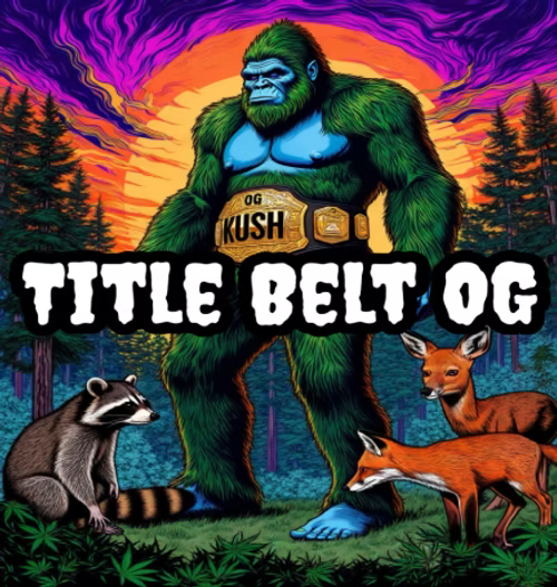 Novelty Gift Seeds | Titlebelt OG | Auto Flower Cannabis Seeds Female