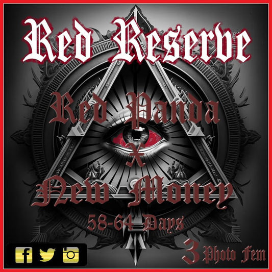 Aeque Genetics | Red Reserve | Photoperiod Cannabis Seeds Female