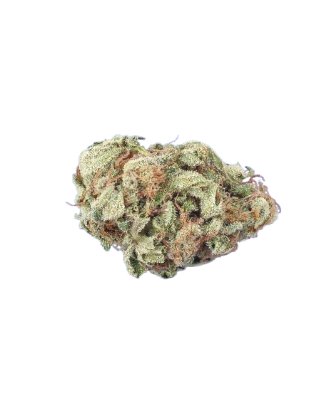 Cannabis Breeders Club | WokStar | Auto Flower Cannabis Seeds Female
