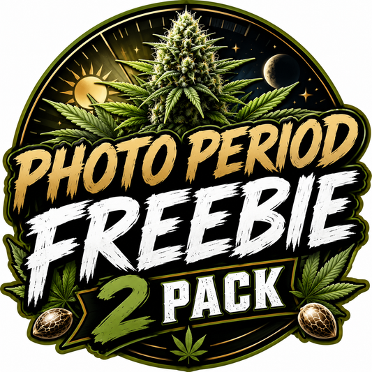🎁 Photo Period Freebie 2 Pack (100% off)