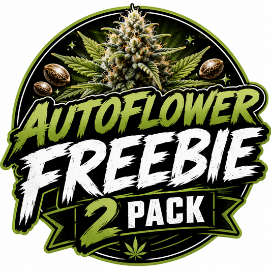 🎁 Auto Flower Freebie 2 Pack (100% off)