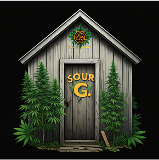 🎁 Bean Genie | Sour G | Photo Fem | Freebie (100% off)