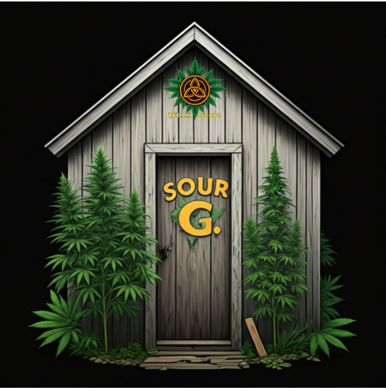 Bean Genie | Sour G | Photoperiod Cannabis Seeds Female
