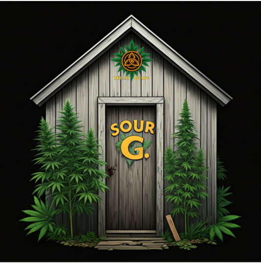 Bean Genie | Sour G | Photoperiod Cannabis Seeds Female